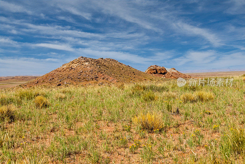 Twin Buttes 和 Homolovi